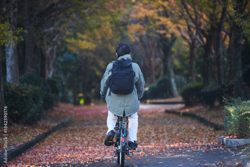 Fototapeta premium 秋の公園で自転車を乗る通勤中の人の姿と紅葉の風景