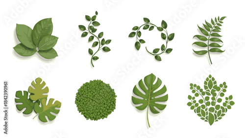 Collection of various green leaves and matcha powder