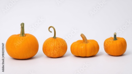 Four pumpkins of varying sizes and shapes arranged together, showcasing autumn harvest and seasonal decor.