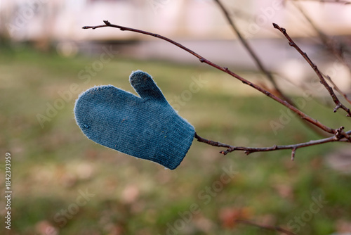 Slika na platnu Single blue mitten left on a tree branch outdoors.