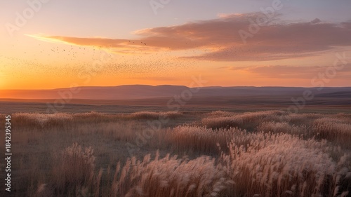 sunrise over the field,Sunrise Over the Field with Golden Light, Peaceful Morning Landscape with Sun Rising, Tranquil Field at Sunrise, Scenic Sunrise Over Open Countryside, Early Morning Sunlight Acr