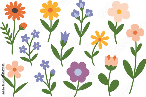 Minimalist flower illustration set, cute botanical clipart, spring floral elements, hand drawn wildflowers, simple vector plants, decorative garden graphics