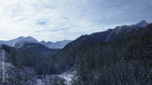 Rocks mountain peak snow winter coniferous forest Tatras Kaspravy up Poland