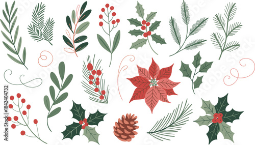 Christmas botanical elements, holiday foliage illustration, pine branches, holly berries, mistletoe, poinsettia flower, festive vector decoration design