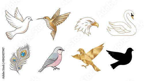 Avian Assortment: A diverse collection of birds, feathers and a beautiful swan, each exuding unique elegance, creating a captivating display.