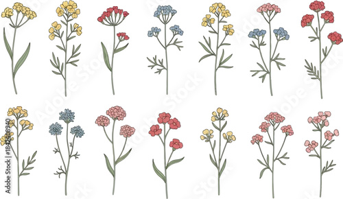 Vintage floral arrangements with varied blooms ideal for design projects on transparent background