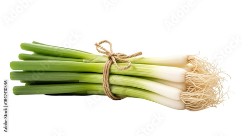 Quadro su tela Fresh green onions tied with twine isolated PNG, vibrant scallions with roots on