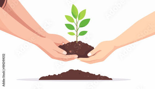 A collaborative effort as two pairs of hands nurture a new green plant, a powerful symbol of ecological growth and a sustainable future