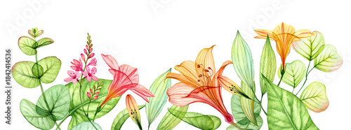 Watercolor tropical flowers in a bottom arrangement. Horizontal background with transparent orange flowers, lily and eucalyptus leaves. Botanical horizontal illustrations for banners and wedding