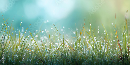 fresh dewy morning grass with soft atmospheric mist creating a serene wellness scene featuring a clear wide lower zone for text placement
