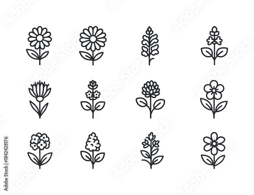 Backyard Bee Flowers Icons. Backyard bee flowers. Line icon set