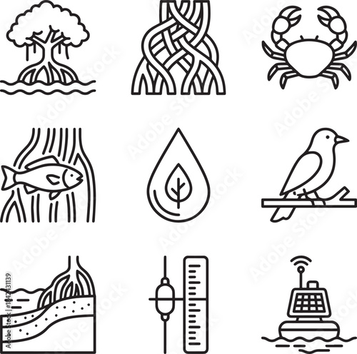 Mangrove ecosystem line icons set showing trees roots crab fish water birds and environmental elements