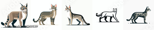 Wild cat. Vector, minimalist, illustration, icon set.