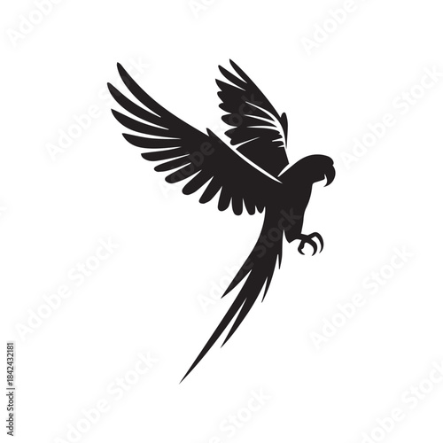 black and white parrot vector illustration