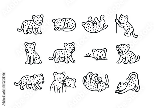 Leopard Cubs Icons. Leopard Cubs. Line icon set of Leopard Cubs: