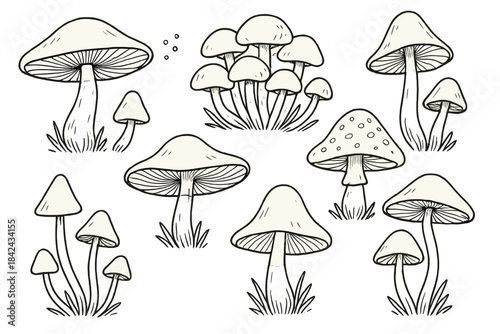 Detailed black outline sketch set of various wild fungi and toadstools growing in nature