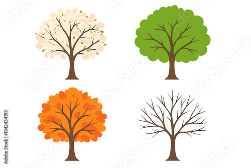 Set of four trees representing the changing seasons of the year from spring to winter