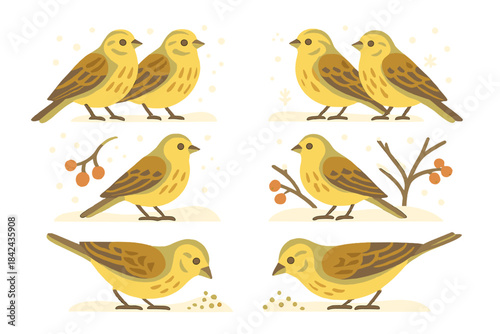 Colorful yellow birds on branches and feeding on seeds in a simple nature scene