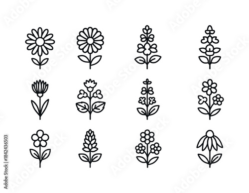 Backyard Bee Flowers Icons. Backyard bee flowers. Line icon set