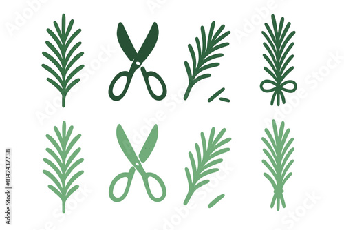 Illustration showing scissors and various green herbs arranged creatively for crafting or cooking purposes