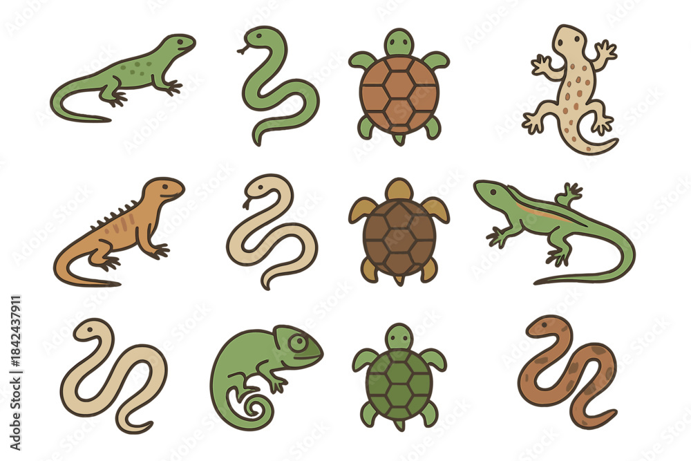 Obraz premium Colorful illustrations of reptiles and amphibians featuring lizards, snakes, turtles, and chameleons on a white background