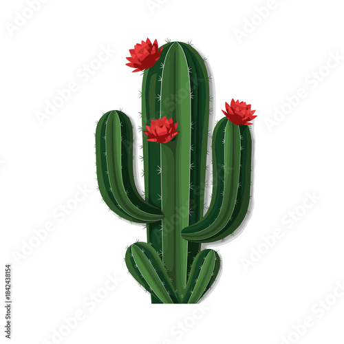 Cactus with red flowers in detailed illustration style  