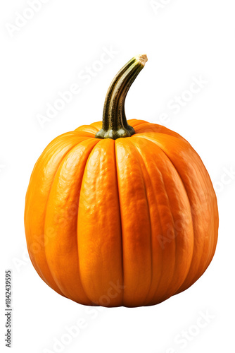 Bright orange pumpkin with textured surface, autumn harvest style, Isolated to Transparent Background