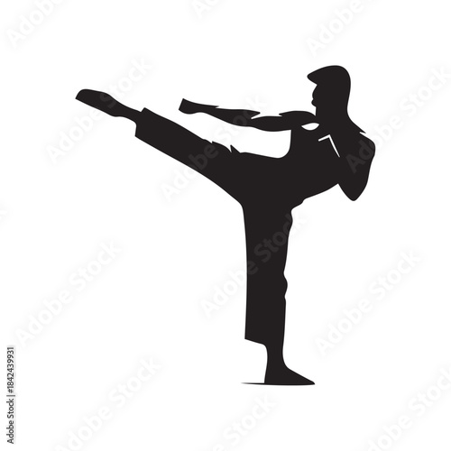 silhouette of a karate trainer