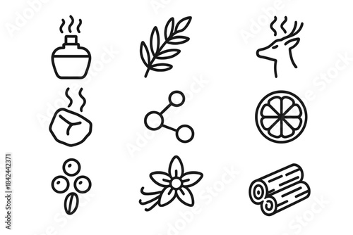 Minimalist outline symbols of natural ingredients and aromatic elements for perfumery