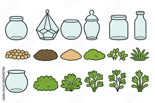 Various jars, soil types, and herbs displayed for gardening or decorative purposes in a bright, clean layout