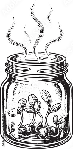 Vintage etched illustration of sprouting seeds in a mason jar wi