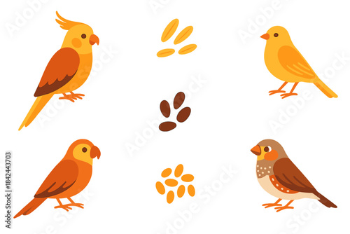 Cute domestic pet birds set featuring cockatiel, canary, and finch with scattered seeds
