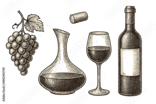 Detailed vintage sketch of wine bottle, full glass, decanter, fresh grapes, and floating cork