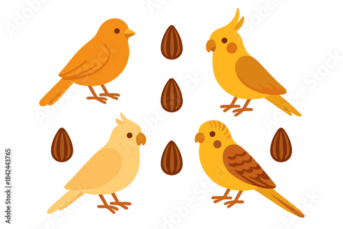 Colorful birds and seeds in a playful arrangement highlighting their vibrant features and unique characteristics