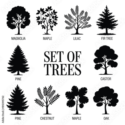 A collection of diverse tree silhouettes including pine maple and oak
