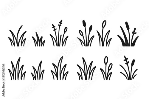 Hand drawn silhouettes of meadow grass, swamp reeds, and bulrush elements