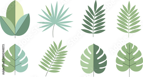Flat Minimal Tropical Leaves Icon Set.
