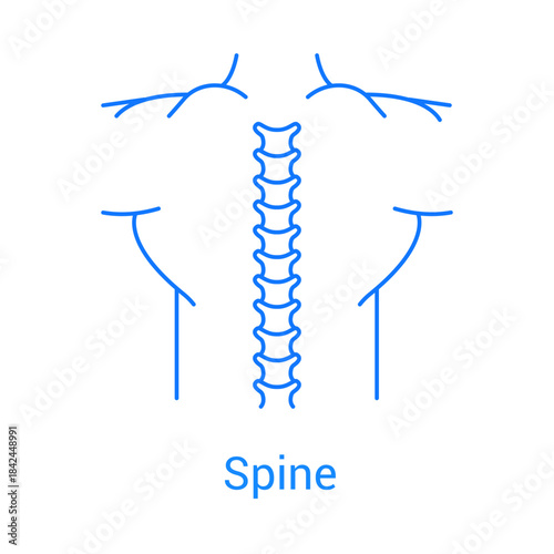 Spine Anatomy Icon Vector

Human Spine Structure Outline Symbol