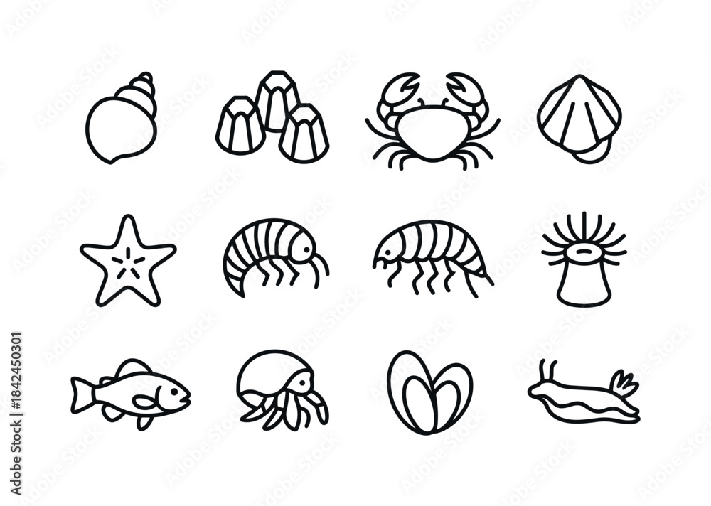 Obraz premium Intertidal Icon Grid. Intertidal zone creatures. Line icon set o