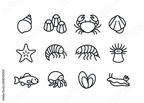 Intertidal Icon Grid. Intertidal zone creatures. Line icon set o