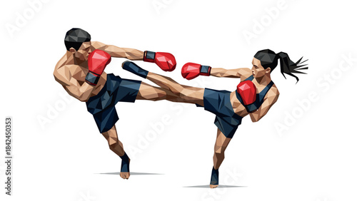 Dynamic polygonal martial arts scene with fighters in action