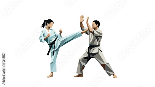 Geometric martial arts duo performing dynamic karate moves