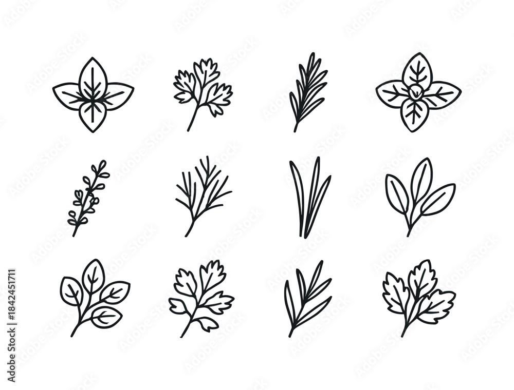 Fototapeta premium Herb Icons Grid. Herb varieties. Line icon set of Herb varieties