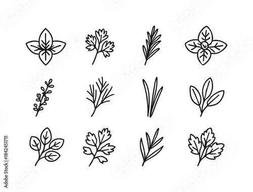 Herb Icons Grid. Herb varieties. Line icon set of Herb varieties