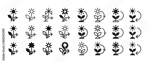 Black and white plant and sun icon set