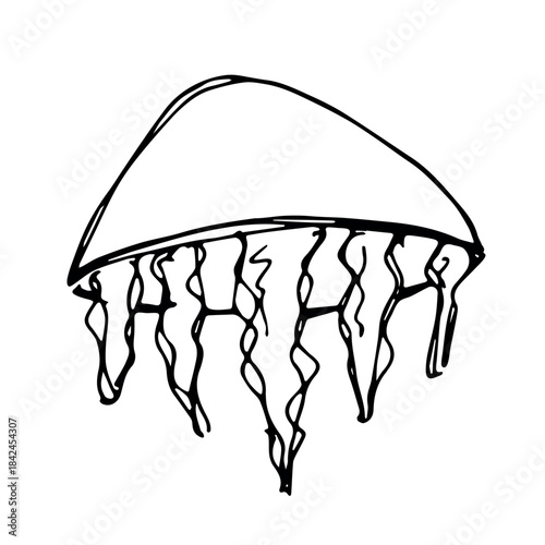 Hand drawn jellyfish doodle Sea animal illustration Cute marine underwater creature Medusa sketch clipart Single element for web, design, decor, children's print