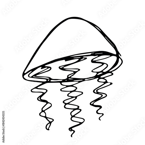 Hand drawn jellyfish doodle Sea animal illustration Cute marine underwater creature Medusa sketch clipart Single element for web, design, decor, children's print