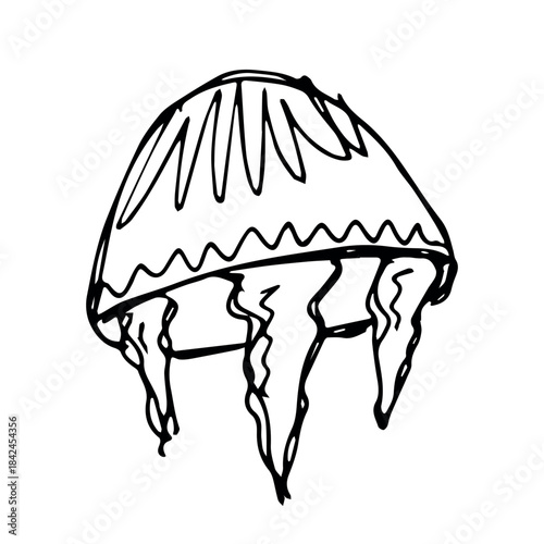 Hand drawn jellyfish doodle Sea animal illustration Cute marine underwater creature Medusa sketch clipart Single element for web, design, decor, children's print