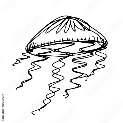 Hand drawn jellyfish doodle Sea animal illustration Cute marine underwater creature Medusa sketch clipart Single element for web, design, decor, children's print