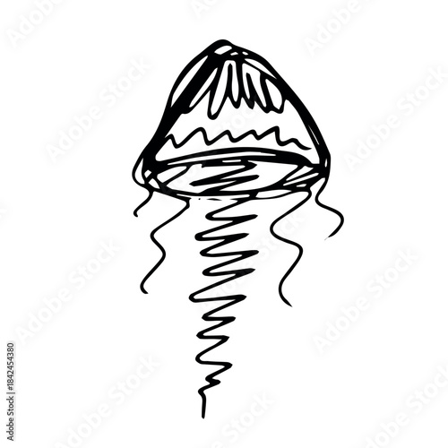 Hand drawn jellyfish doodle Sea animal illustration Cute marine underwater creature Medusa sketch clipart Single element for web, design, decor, children's print